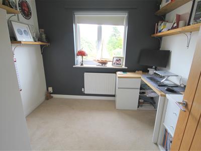 Picture 20